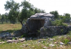 Un'estate in Agriturismo: Ferragosto 2014 presso La Locanda tra gli Ulivi